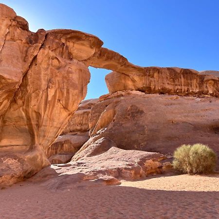 Wadi Rum Tents 외부 사진