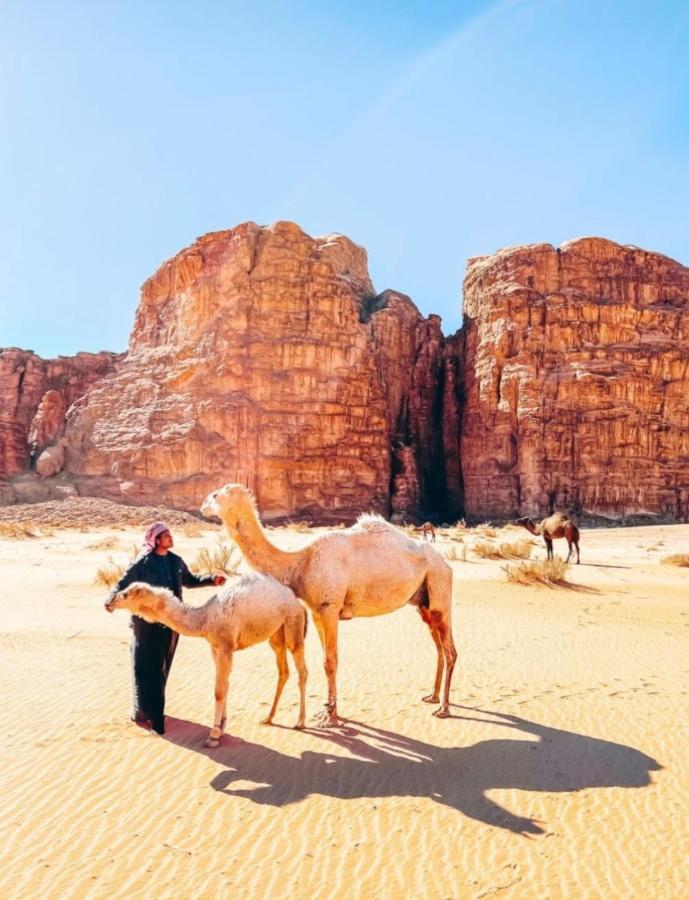 Wadi Rum Tents 외부 사진